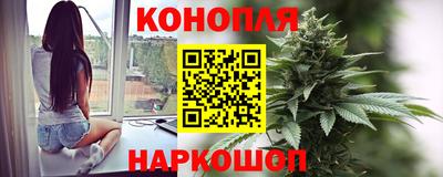 гидра Можга
