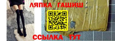 гидра Можга