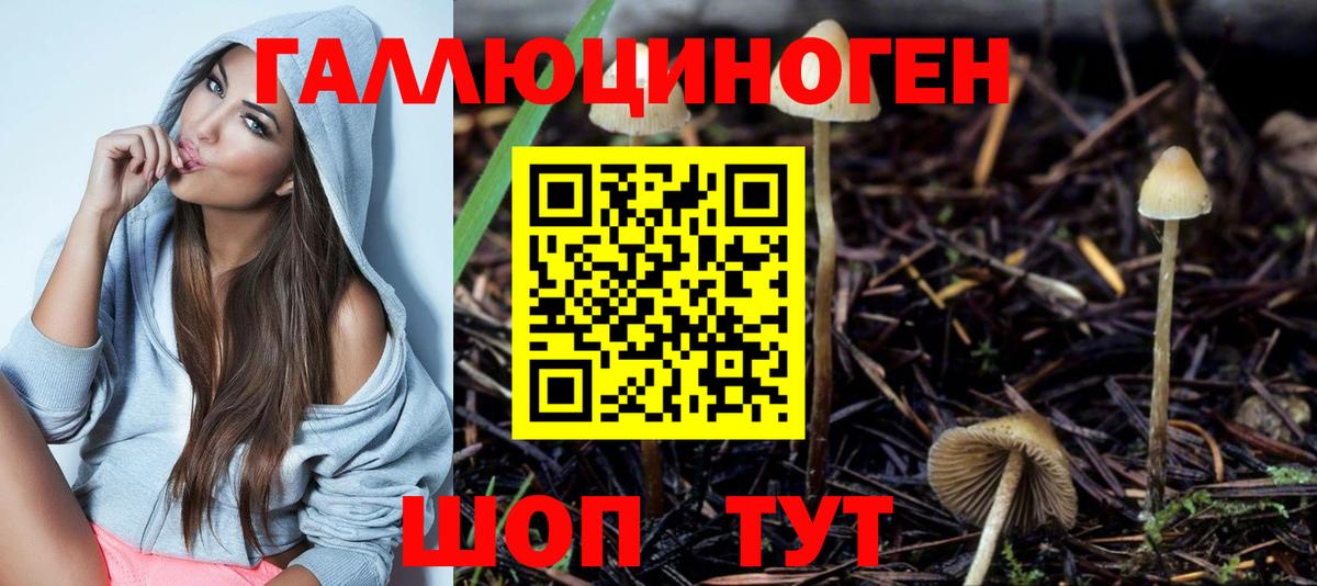 Псилоцибиновые грибы мицелий  Галлюциногенные грибы Psilocybine cubensis  Долгопрудный  Вход с VPN 